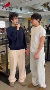 Cardinal on the Street: 🌷 vs. 🍁