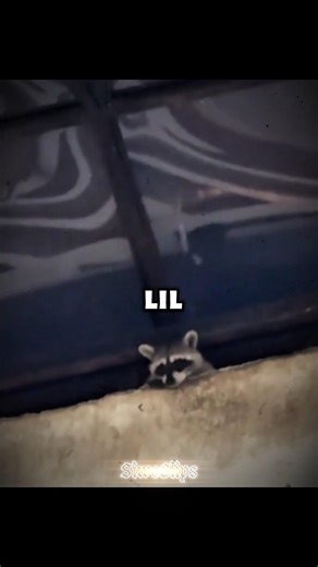 Unexpected visitor at church.. 😳