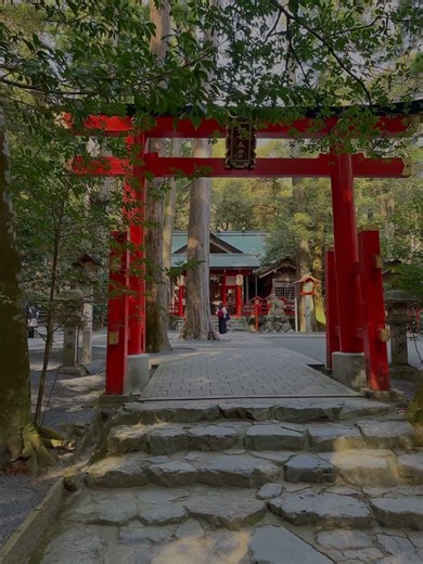 3️⃣椿大神社 #神社 #椿大神社 #三重県 #神域 #芸能 2026年1月19日