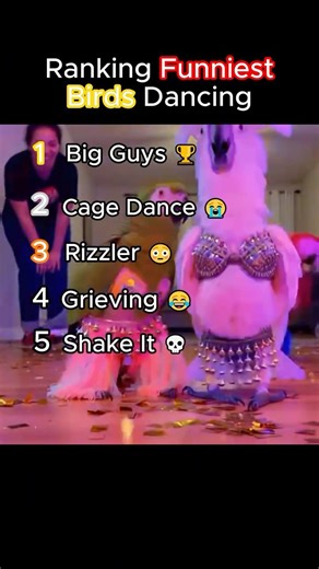 Top 5 Funniest Dancing Birds Ever 🐦💃😂
