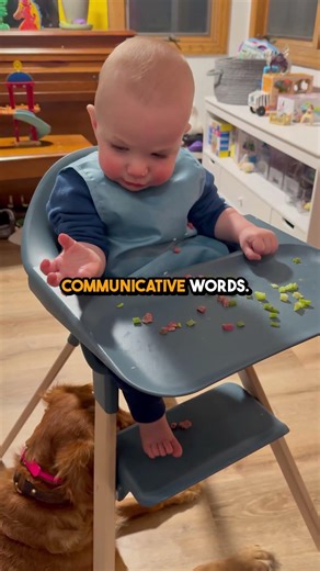 How your 8-month old communicates 👶🏼 ♥️
