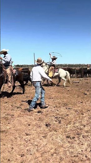 Cowboy Jasper #pdr #jheart