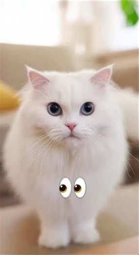 Amazon Parrot Calls Mom for Help