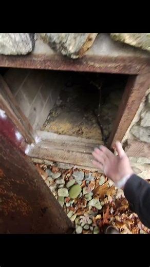 Pest Control Service