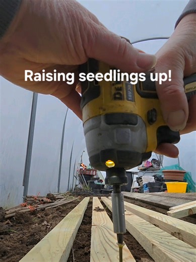 Creating a Mouse-Proof Shelf for Seedlings