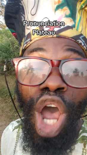 Understanding Noun Plateau: Definition and Usage