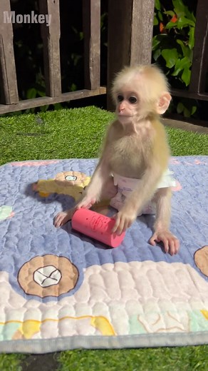 Mom give me first | LEO Life's