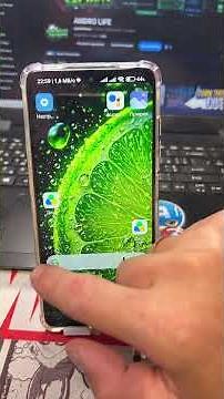 How to download a video from YouTube?