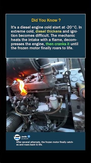 Starting a Diesel Engine at -20°C ❄️ Extreme Cold Start