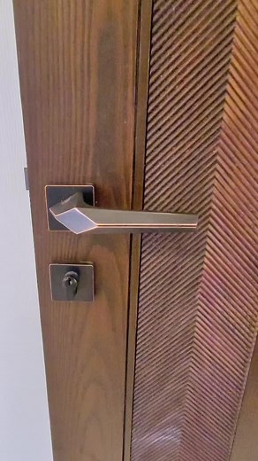 American Ash Wood door by Design Solution DHA