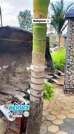 Mosh Update: Balajana 😭 — Latest News & What It Means