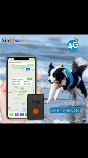 🎥 SinoTrack ST-904L One Tracker, Multiple Uses!? #sinotrack #cartracking #smartphone