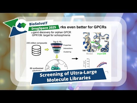 Structure-based Virtual Screening for Enzyme Inhibitors in Vast Chemical Space