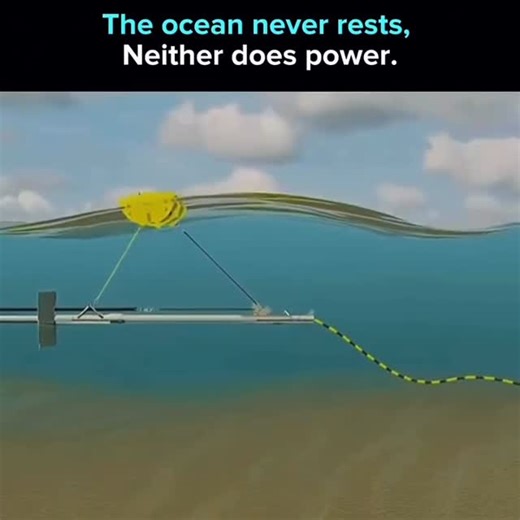 CertifiedExpert | Power from Waves 🌊 Wave power generators convert the constant motion of ocean swells into electricity using mechanical or hydraulic systems... | Instagram