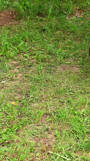 DIY Cozy Bonfire: How to Make a Portable Fire Pit