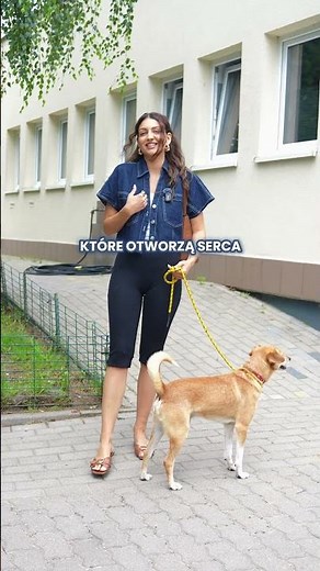 Weź mnie na „tymczas” - bydgoskie schronisko szuka domów dla psów