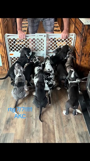 Jen Smith GMA Extraordinar (@jensmith1980)’s videos with Taking Care of Business - LA Thunder