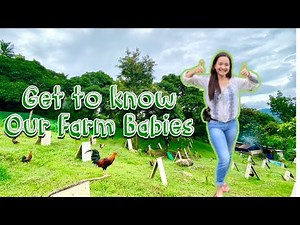 GameFarm Tour (Part2) & Why We Cross-Breed