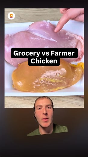 Real chicken is so much more different than what we’re used to in the conventional food system Comment “bird” for my chicken map | Zephyr Zoidis