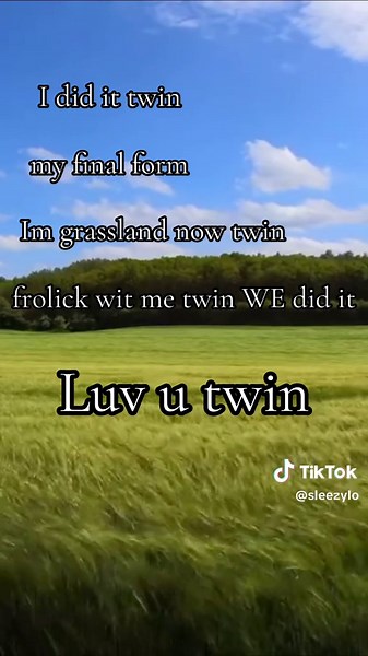Exploring Gurt's Final Form in Twin Songs