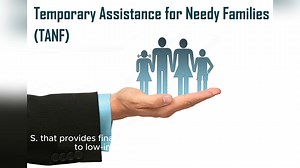 Temporary Assistance for Needy Families (TANF)
