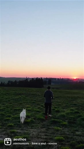 Our daily walk at sunset ☀️ #farmlife #dogwalk #dogs #sunset #palouse #washington #farmdogs #husky #bluehealer