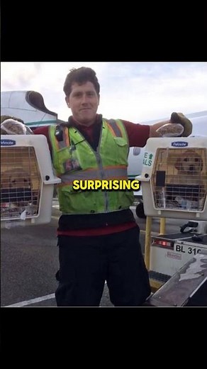 The man stole the Horizon Air plane in the 2018 incident. #shorts