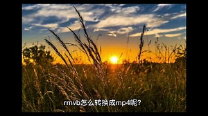 rmvb怎么转换成mp4？试试这几种转换方法