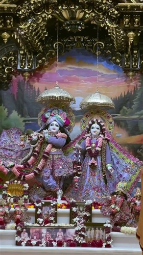 Radha Radha 🚩🙏 #radha #barsana #virndavan #mathura #shortsfeed #viralshorts #brouserfeed