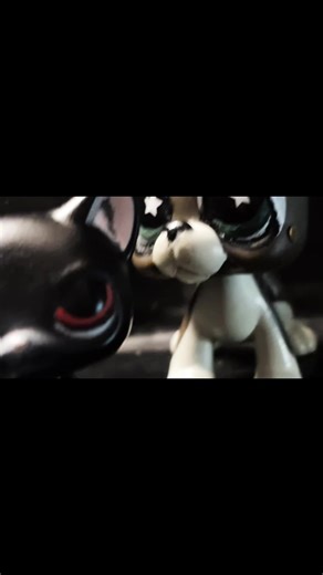 What’s your dream lps?? #fyp #dreamlps #lps #viral #transition