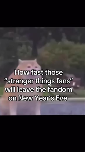 They act like fans just because there’s a new season #strangerthings #relatable #upsidedown #viral