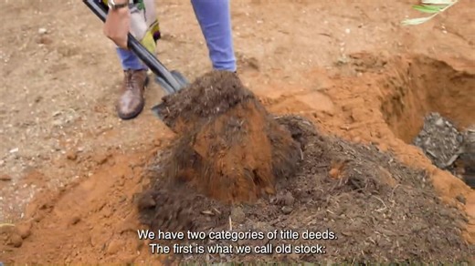 📢 ANNOUNCEMENT | Don’t miss tonight’s episode of BNGTV with Nimrod Nkosi on SABC2 at 20:30! This week we unpack the important topic of Title Deeds – what they mean, why they matter, and how they empower communities. Tune in and be part of the conversation shaping our nation. 🇿🇦 #HousingTheNation #ServiceDeliveryZA #BNGTV | Department of Human Settlements