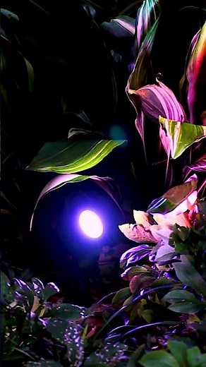 Transform Your Outdoor Space This Spring with #LIFX Smart Spotlights