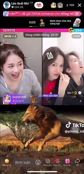 Cùng đếm đàn sư tử của chị Quỳnh Anh bao nhiêu con đây 🥭🖤💙❤️ #lsn #lsn_soainhi_ #quynhanhmango #soainhi #gdsoainhi @Quỳnh Anh Mango @Láo Soái Nhi 🖤