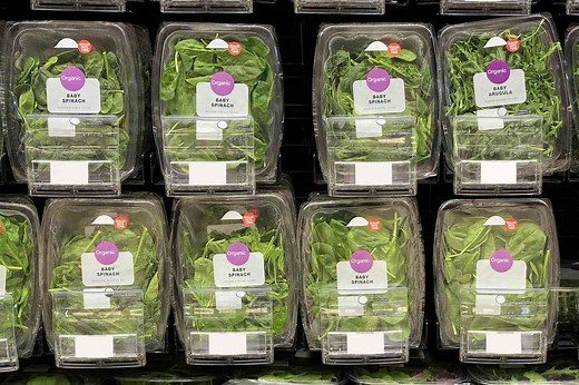 Is It Actually Safe To Eat 'Triple-Washed' Greens Out of the Package?