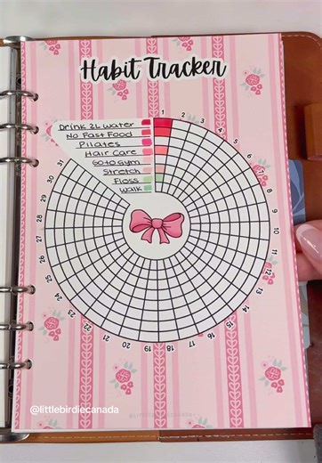 February Bullet Journal Setup Ideas for 2025