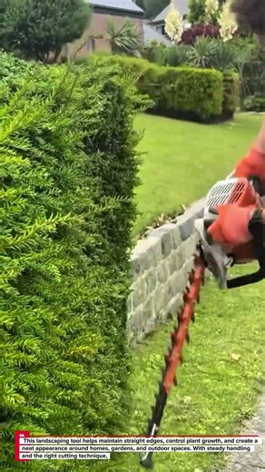 HEDGE TRIMMER IN ACTION — CLEAN AND PRECISE HEDGE CUTTING