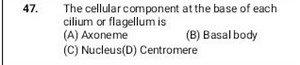 The cellular component at the base of each cilium or flagellum ... | Filo