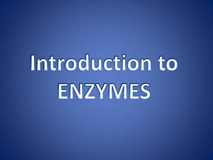 Introduction to ENZYMES - SlideServe