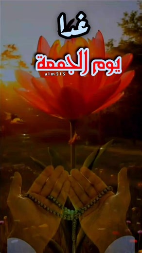 غدا يوم الجمعة يارب 🤲🕊🤍ج #جمعة_مباركة #اللهم_صلي_على_نبينا_محمد #جمعة_مباركة_عالجميع #🤲🤲🕋🕋🤲🤲 #