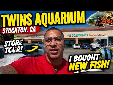 🔥 This Might Be California’s Most Underrated Fish Store! | Twins Aquarium Tour + New Fish