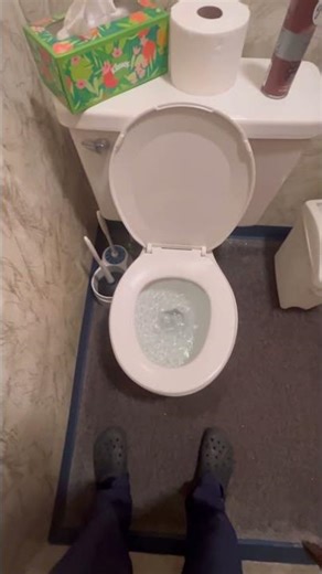 Mansfield imperial 210 toilet