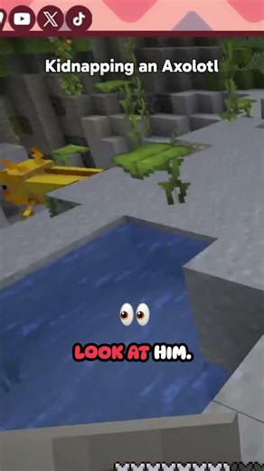 Kidnapping a Golden Axolotl #minecraft #axolotl #cute #gaming #Maknch3esy #vtuber #vtubergaming #vt