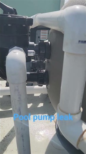 pool pump filter