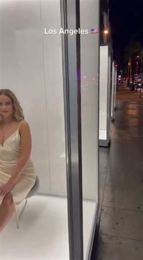 Live Window Displays