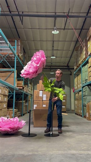 How BIG Are Giant Flowers? 🌹 Watch This XXXL Rose Setup
