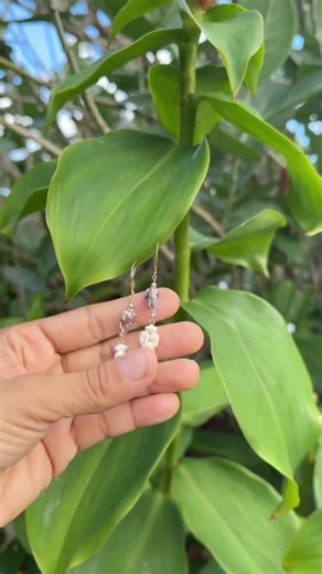 Ni’ihau Style Earrings / Momi & Conus Shell Earrings / Hawaiian Heirloom - Etsy