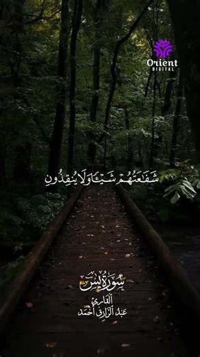 السكينة تبدأ من أول لحظة تسمع فيها الصوت 🤍 القارئ عبد الرزاق أحمد 🎧💚