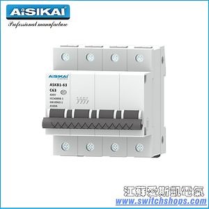 [Hot Item] 100A Mini Circuit Breaker MCB 2p CCC/Ce