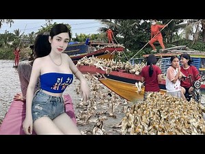 Full Video: The Most Unique & Interesting Duck Migration by Boat Ever Seen 🦆⛵ | Farm Life TV